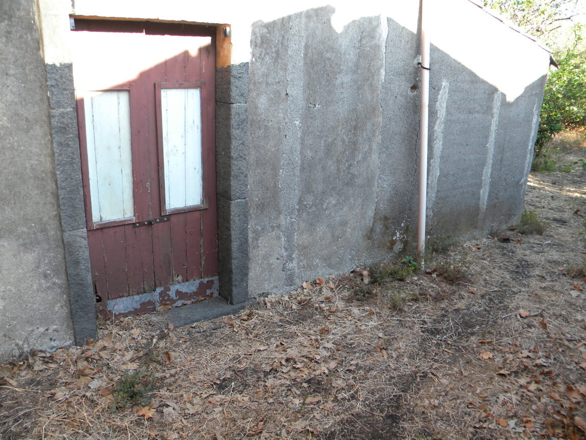 DSCN7985 .JPG
